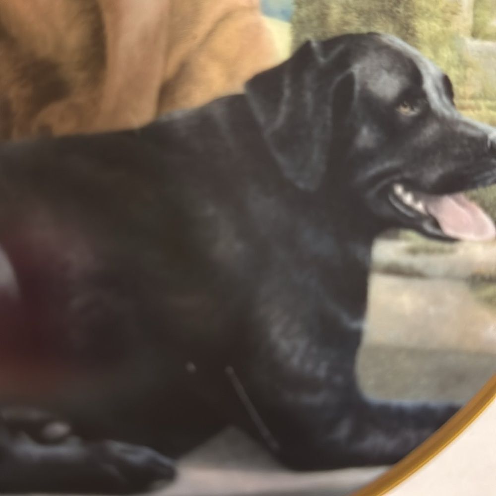 Canine Companions Franklin mint heirloom collectible plate dog art decor - Picture 4 of 5